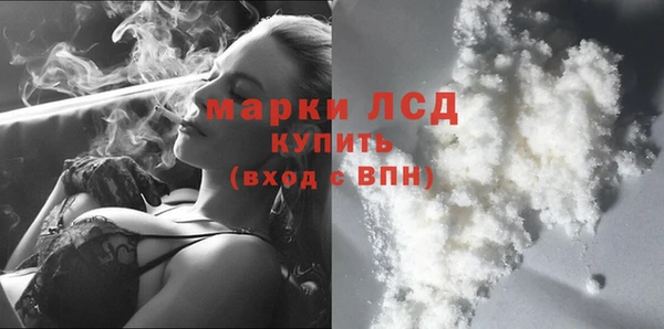 трава Бородино
