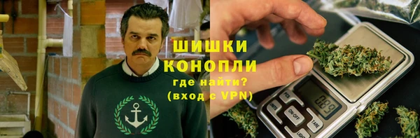 трава Бородино