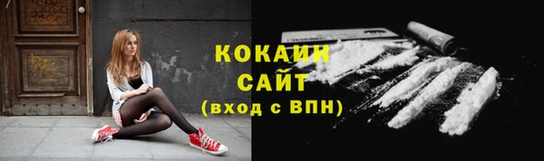 трава Бородино