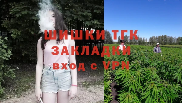 кокс Богородицк