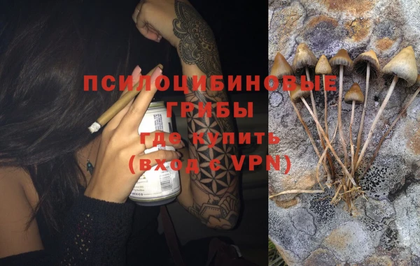 кокс Богородицк
