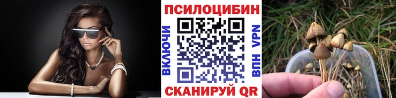 Псилоцибиновые грибы Cubensis  купить закладку  Воркута 