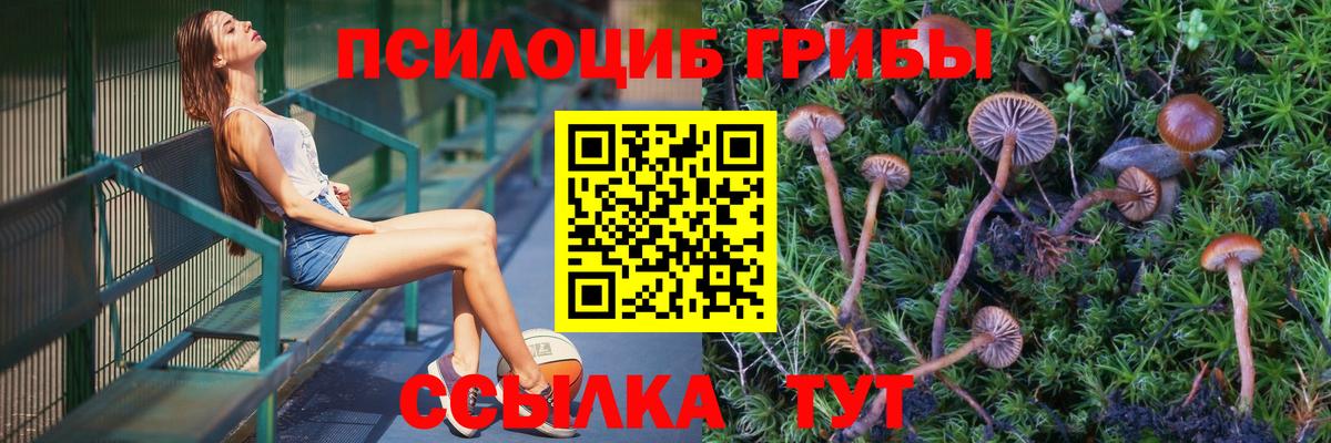 Галлюциногенные грибы Magic Shrooms Воркута